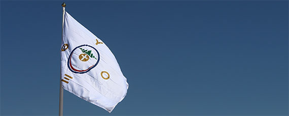 Bandeira_PV Bandeira_PV