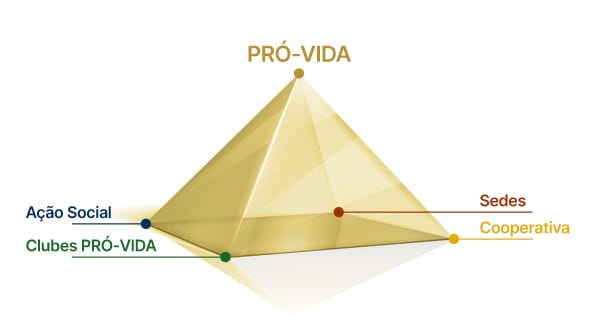 PRÓ-VIDA - Integração Cósmica