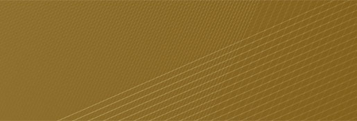 header_cvsm_02_mob header_cvsm_02_mob