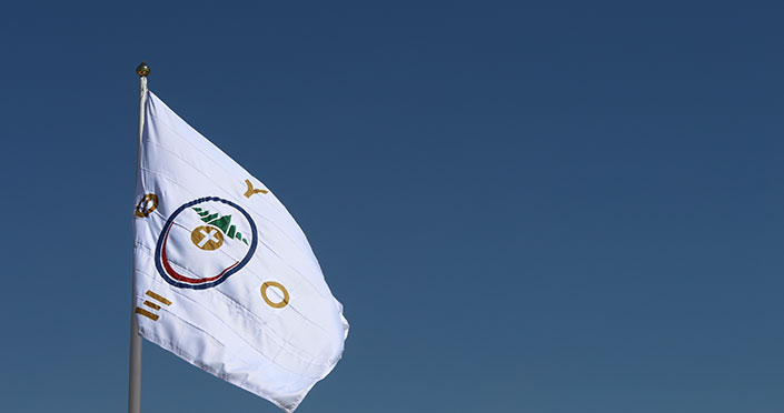 Bandeira_Pro_Vida Bandeira_Pro_Vida
