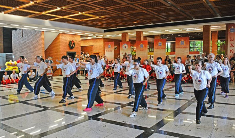 Apresentação de Kung Fu (São Paulo, SP, Brasil)