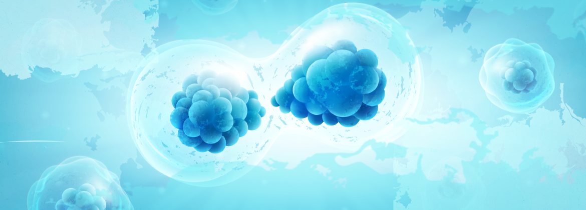 Header_alimentacao sutil copiar Header_alimentacao sutil copiar