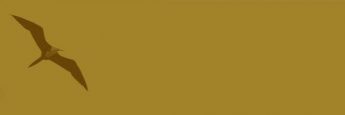 cvsm_a_paciencia_e_diretamente_proporcional_ao_proposito_header_mobile cvsm_a_paciencia_e_diretamente_proporcional_ao_proposito_header_mobile