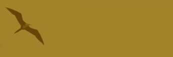 cvsm_a_paciencia_e_diretamente_proporcional_ao_proposito_header_mobile