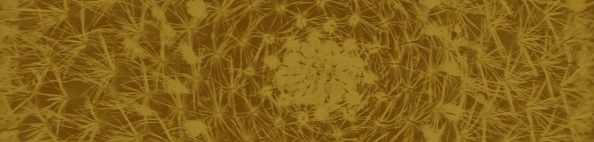 cvsm_ao_atingirmos_um_objetivo_header_desktop cvsm_ao_atingirmos_um_objetivo_header_desktop