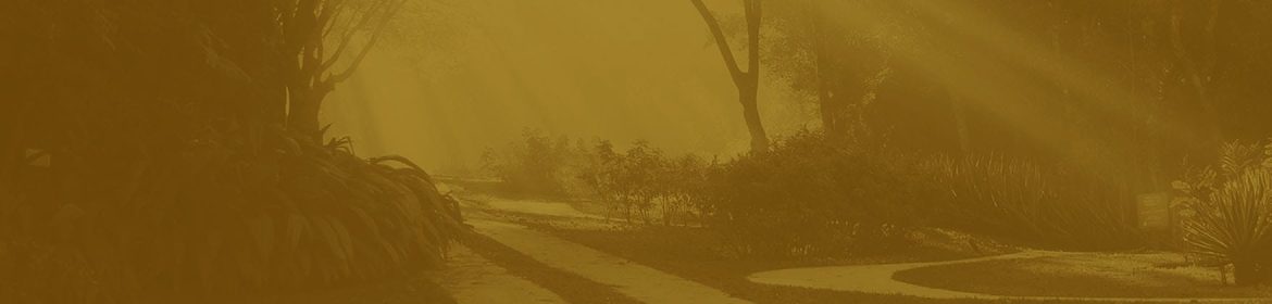 cvsm_muitos_sao_os_temas_sobre_os_quais_poderiamos_conversar_hoje_header_desktop cvsm_muitos_sao_os_temas_sobre_os_quais_poderiamos_conversar_hoje_header_desktop