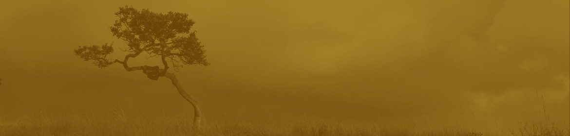 cvsm_nao_ter_coragem_e_nao_ter_conhecimento_header_desktop cvsm_nao_ter_coragem_e_nao_ter_conhecimento_header_desktop