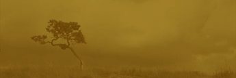cvsm_nao_ter_coragem_e_nao_ter_conhecimento_header_mobile cvsm_nao_ter_coragem_e_nao_ter_conhecimento_header_mobile