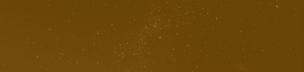 cvsm_o_que_eu_procuro_header_desktop cvsm_o_que_eu_procuro_header_desktop
