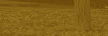 cvsm_outuno_header_mobile cvsm_outuno_header_mobile