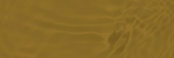 cvsm_parte_03_mobile_17