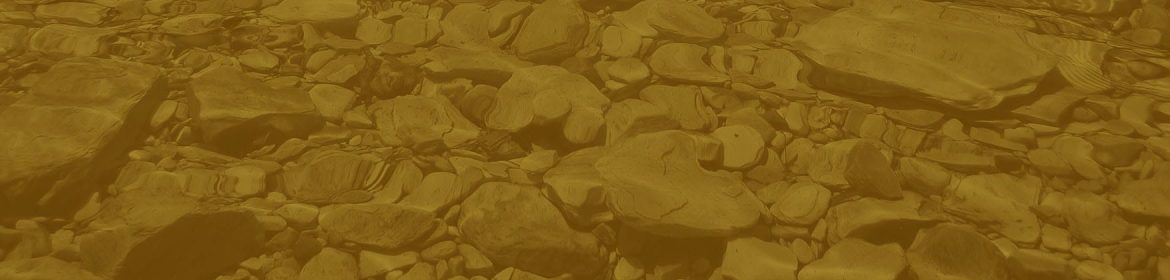 cvsm_quanto_tempo_quantas_vezes_quanto_espaco_header_desktop
