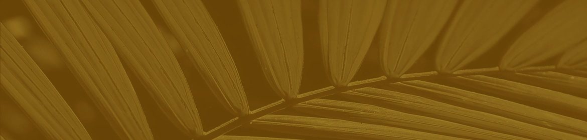 cvsm_temos_observado_um_comportamento_header_desktop