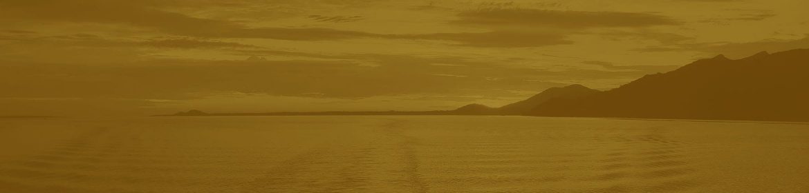 cvsm_tudo_tem_vida_tudo_e_vida_header_desktop cvsm_tudo_tem_vida_tudo_e_vida_header_desktop