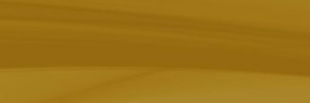 header_cvsm_01_mobile header_cvsm_01_mobile