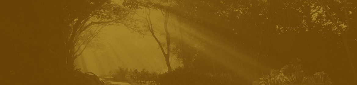 palavra_do_mestre_header_desktop palavra_do_mestre_header_desktop